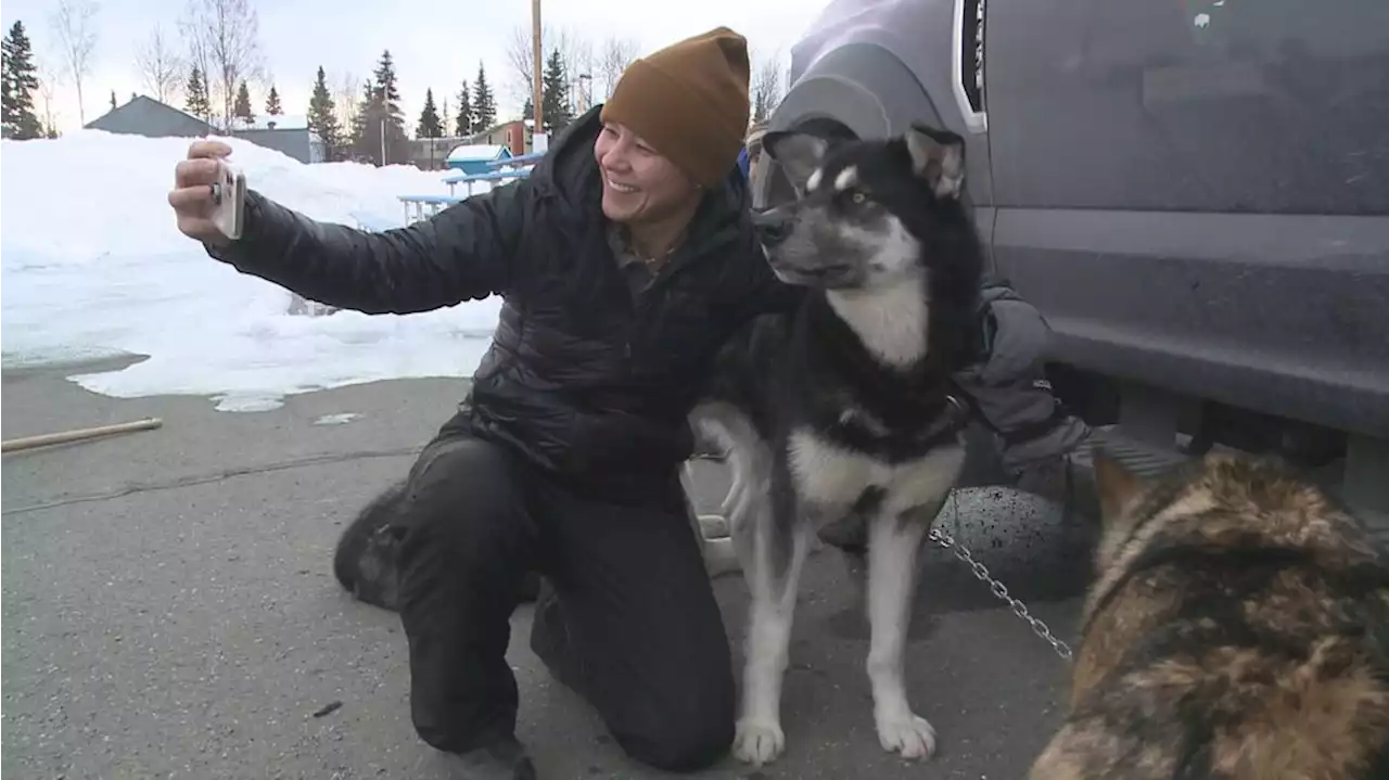 Denali National Park Sled Dog Kennels mark 100 year anniversary with Iditarod start