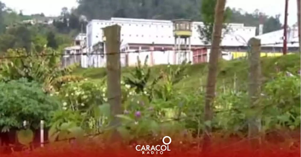 Granja de cárcel La Blanca de Manizales brinda nueva oportunidad de vida