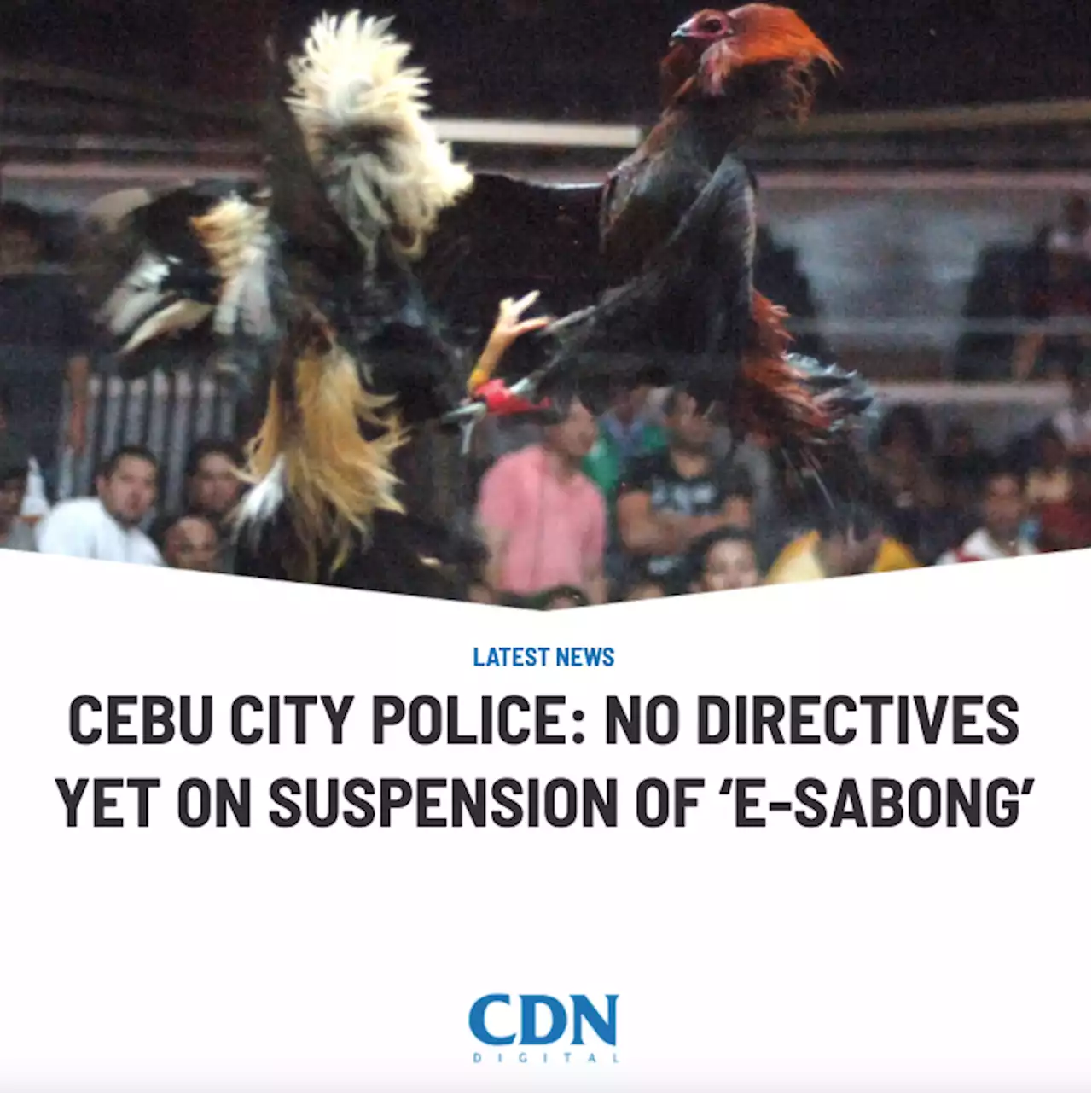 Cebu City Police: No directives yet on suspension of ‘E-sabong’