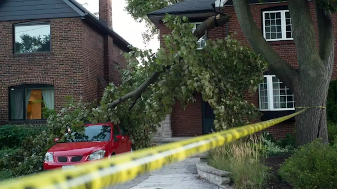 Wind gusts of up to 100 km/h possible in Toronto on Sunday: Environment Canada