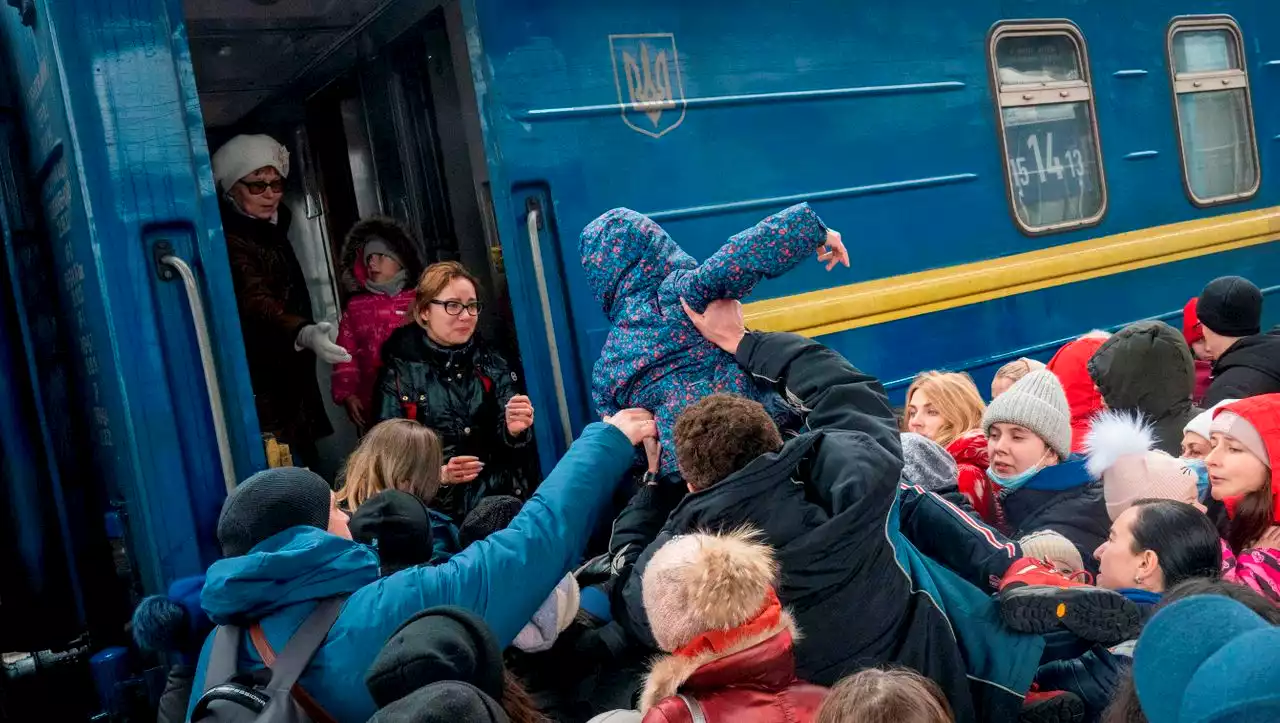 (S+) Geflüchtete aus der Ukraine, Ankunft in Berlin: Eltern, Oma, zwei Kinder, ein Labrador, acht Katzen