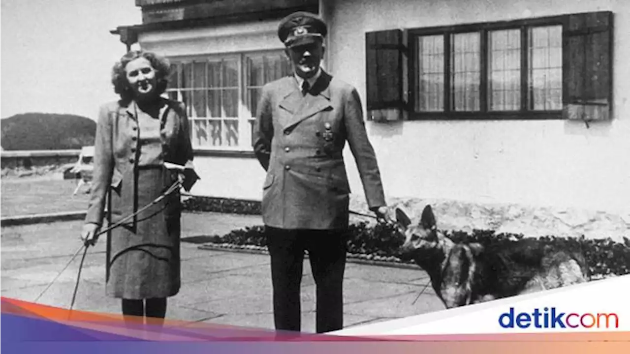 Kisah Hitler Tega Membunuh Manusia tapi 'Sayang' Satwa