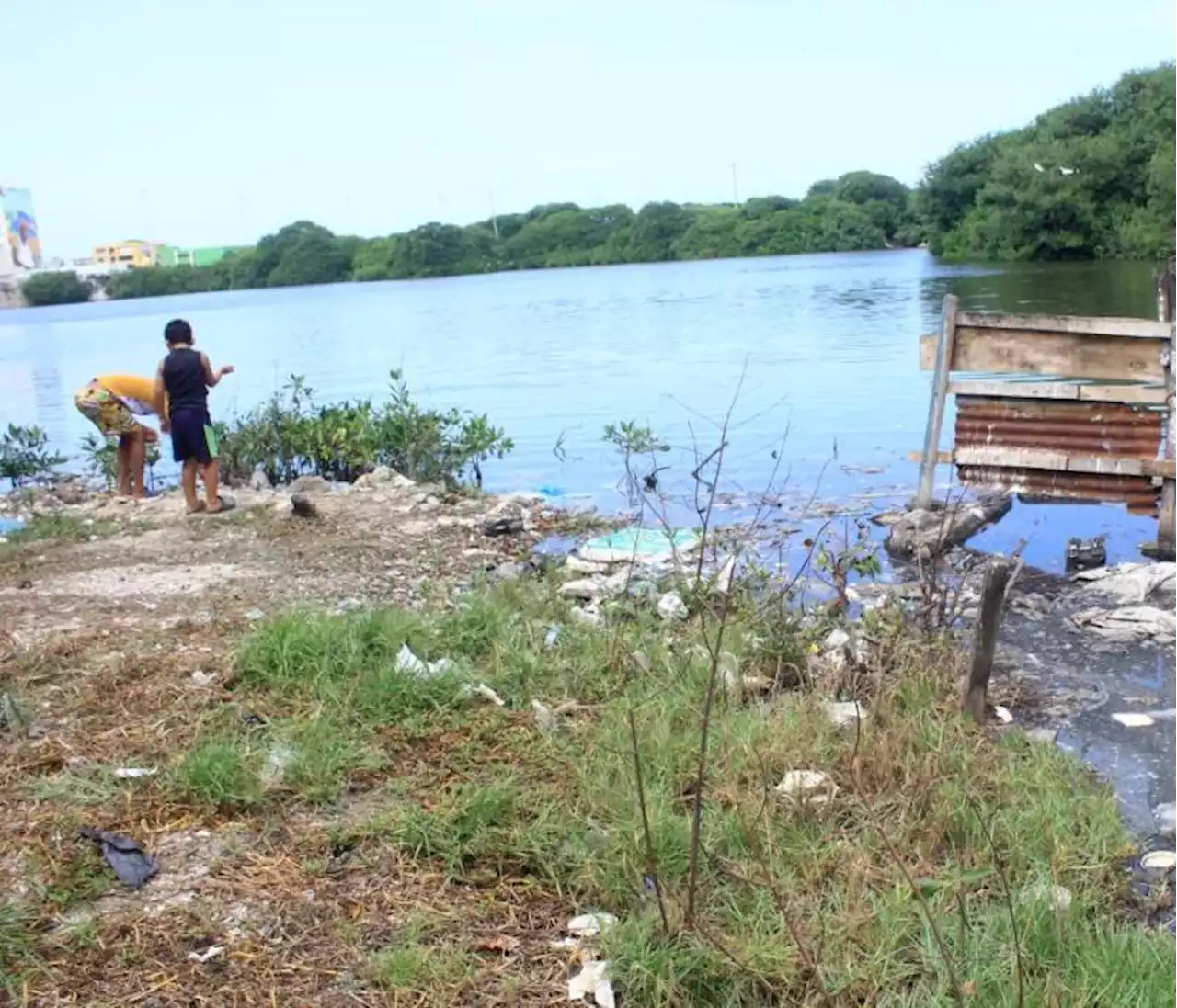 En 2022 no ha habido muertes por dengue en Cartagena