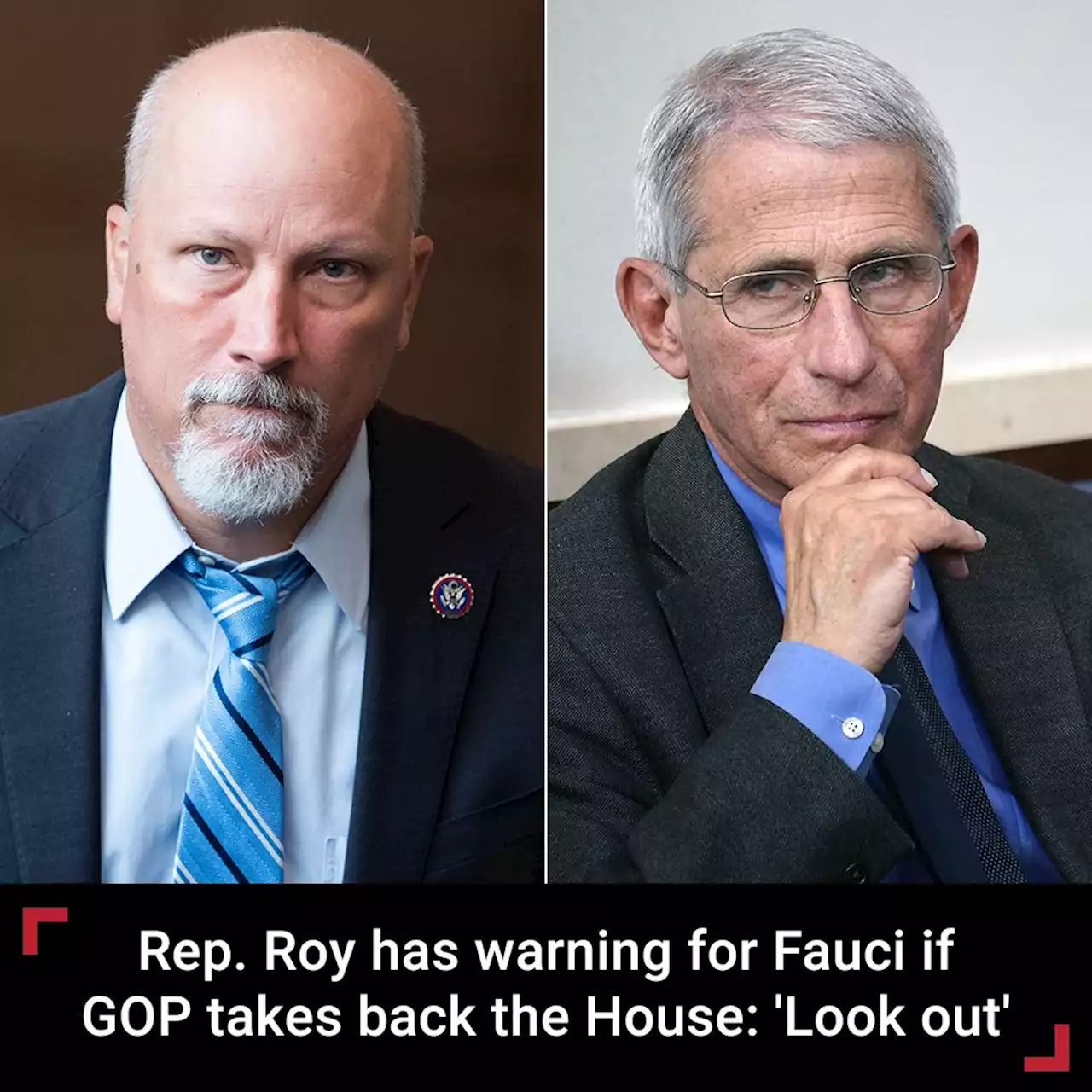 Rep. Roy has a warning for Anthony Fauci for when Republicans take back the House: 'Look out'