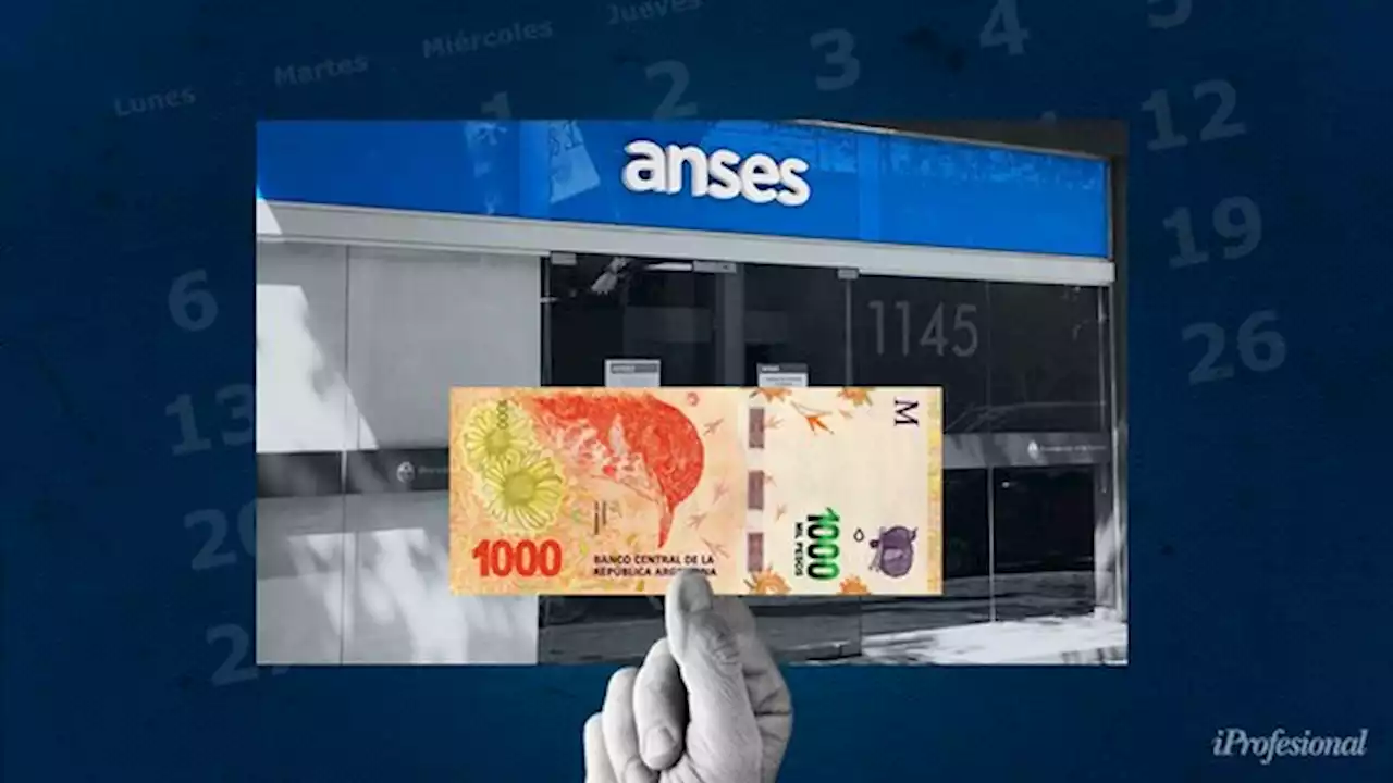 Monotributistas reciben en marzo $44.450 de Anses por única vez