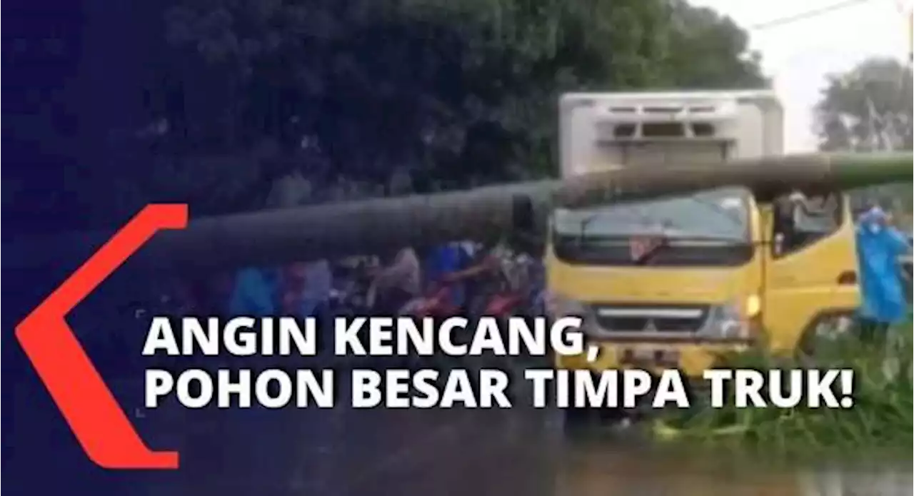 Mobil Truk Tertimpa Pohon Palem 12 Meter, Sopir Luka Serius dan Dilarikan ke RSU Tangerang Selatan