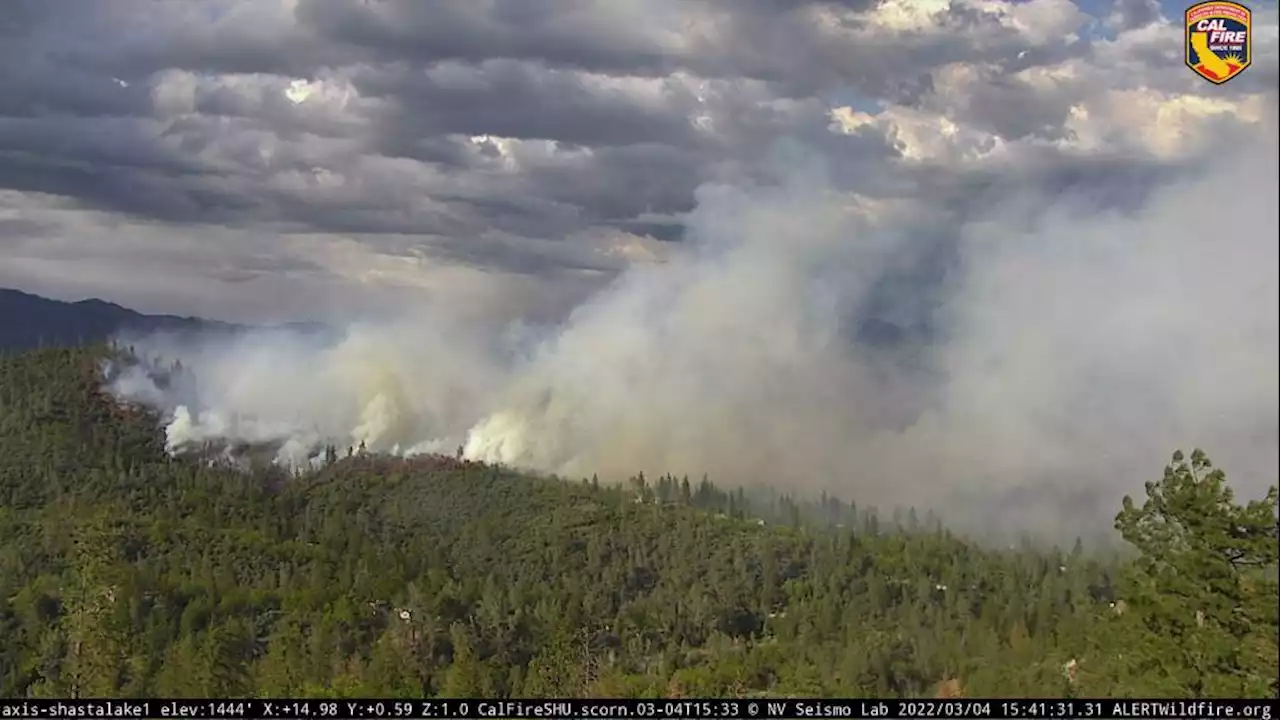 Winter Wildland Blaze in Shasta County Sparks Fears of a Destructive Fire Season