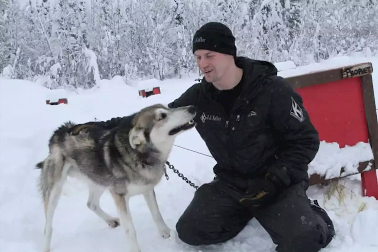 Alaska musher on brink of becoming Iditarod’s best ever