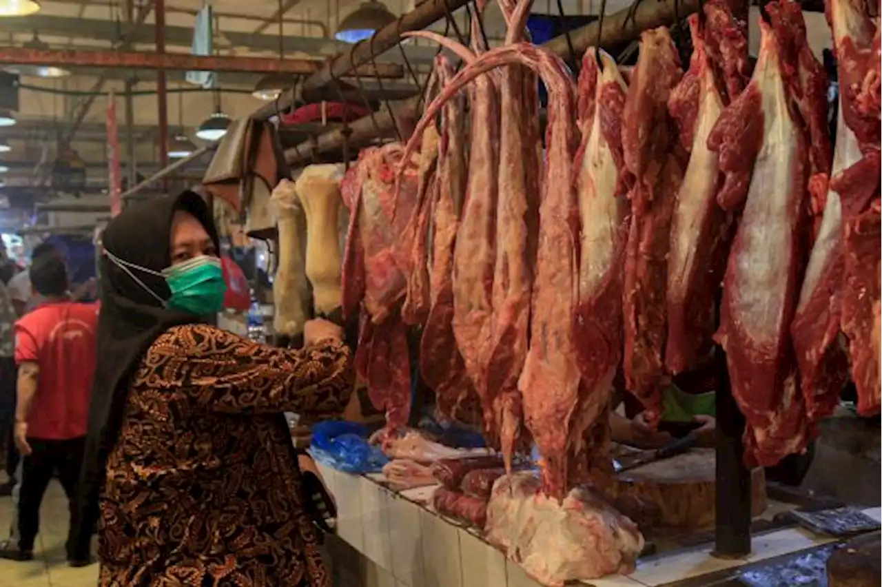 Pemerintah Sedang Cari Opsi Pasokan Daging Sapi Dari Negara Lain