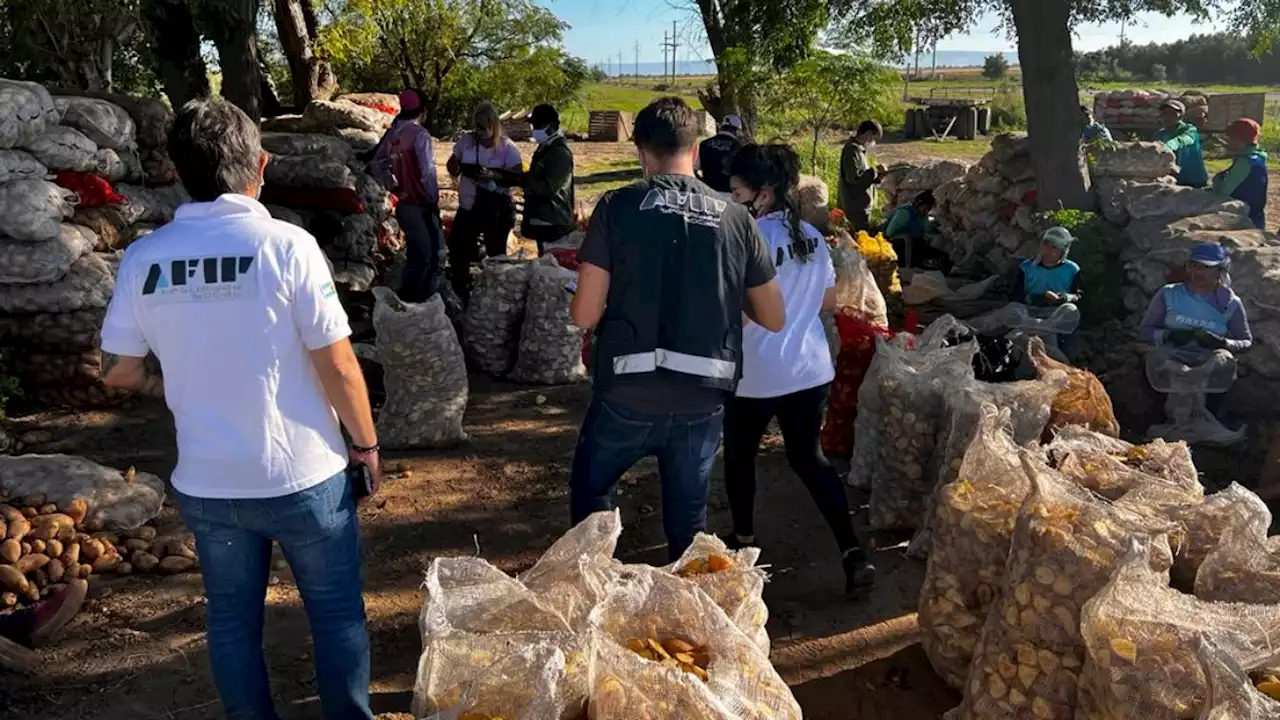 AFIP detectó maniobras de evasión y explotación laboral en campos de Córdoba y San Luis