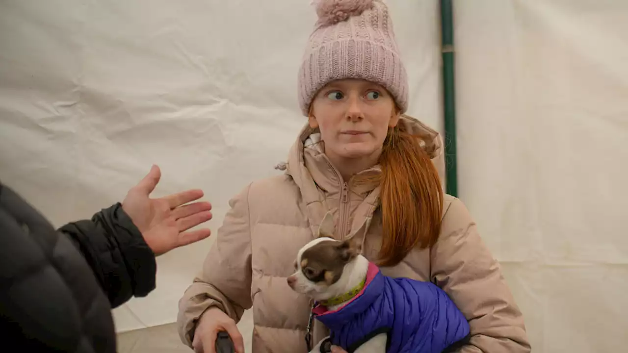 Refugees Fleeing Ukraine Grab Documents, Pets, Some Photos