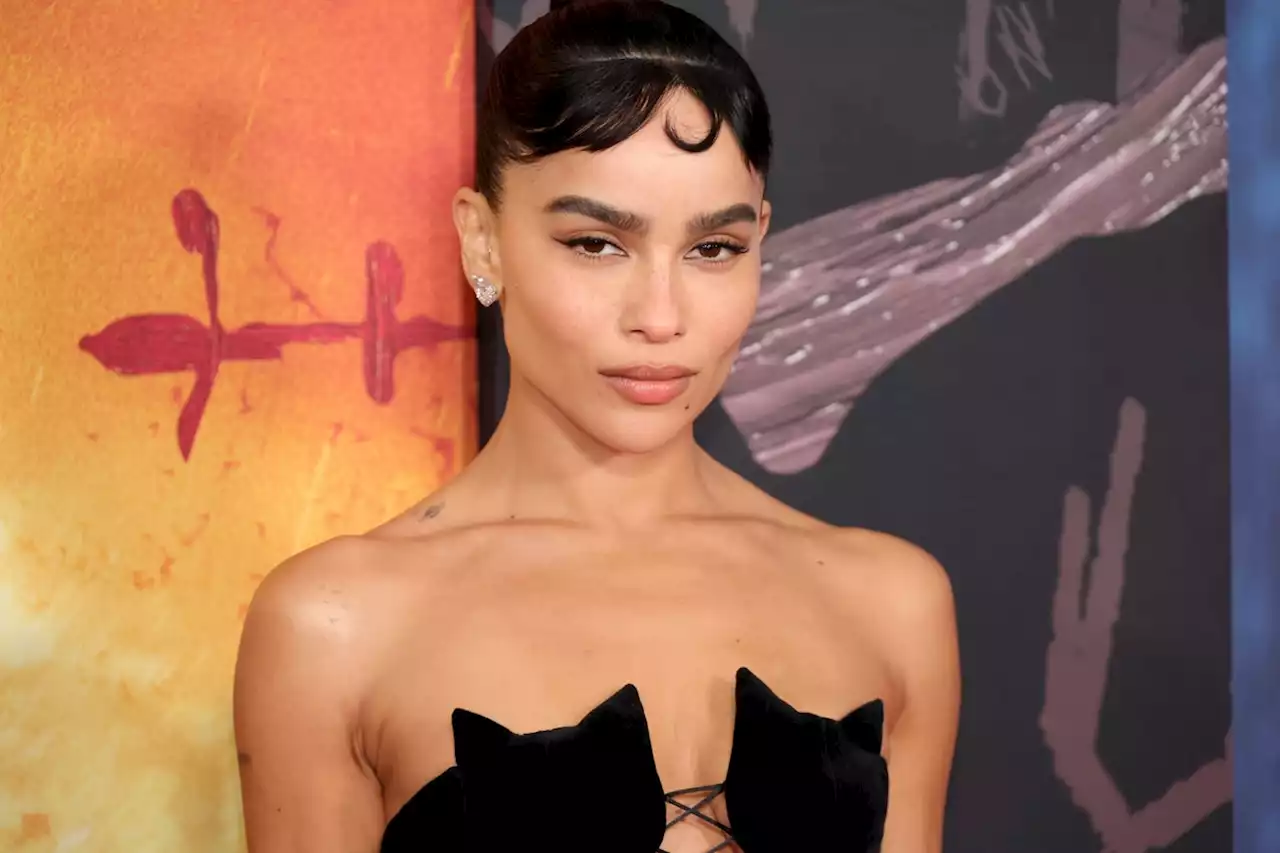 Zoë Kravitz's Latest Red Carpet Look Was An Ode To Catwoman