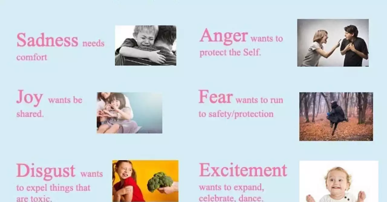 22 Important Things to Know About Emotions