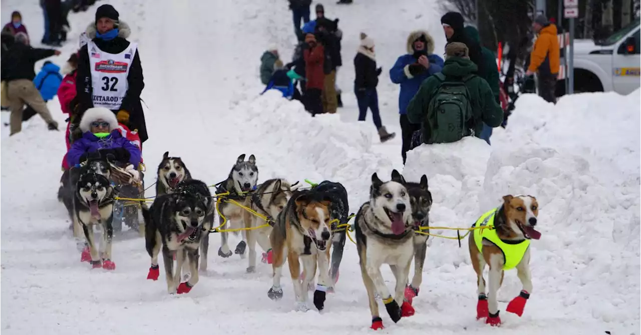 Climate change, COVID loom over Alaska's 50th annual Iditarod Sled Dog Race