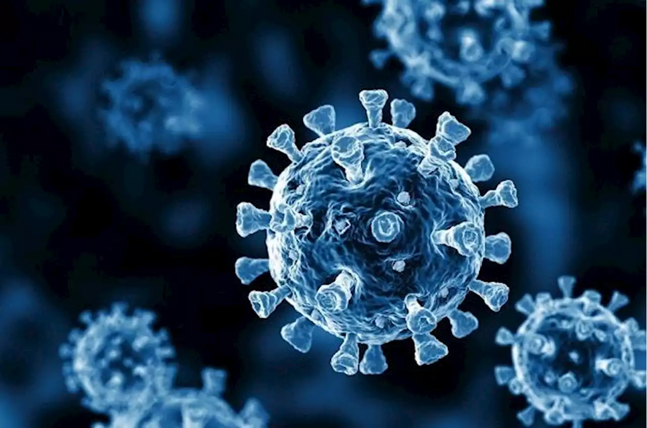 Covid-19: New high of 33,209 new cases bring total to 3,561,766, says Health Ministry