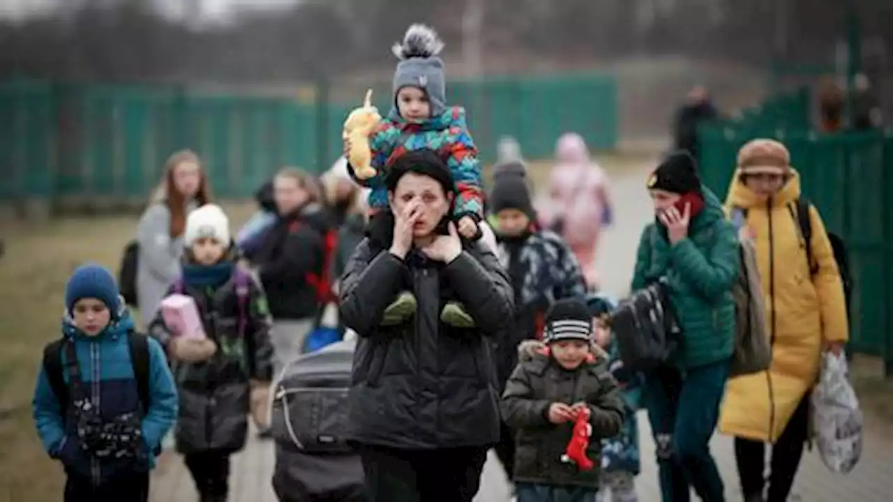 Fleeing refugees plead NATO to enforce Ukraine no-fly zone