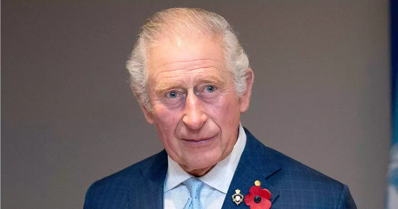 How Prince Charles Plans to 'Slim Down' the Royal Family in the Future