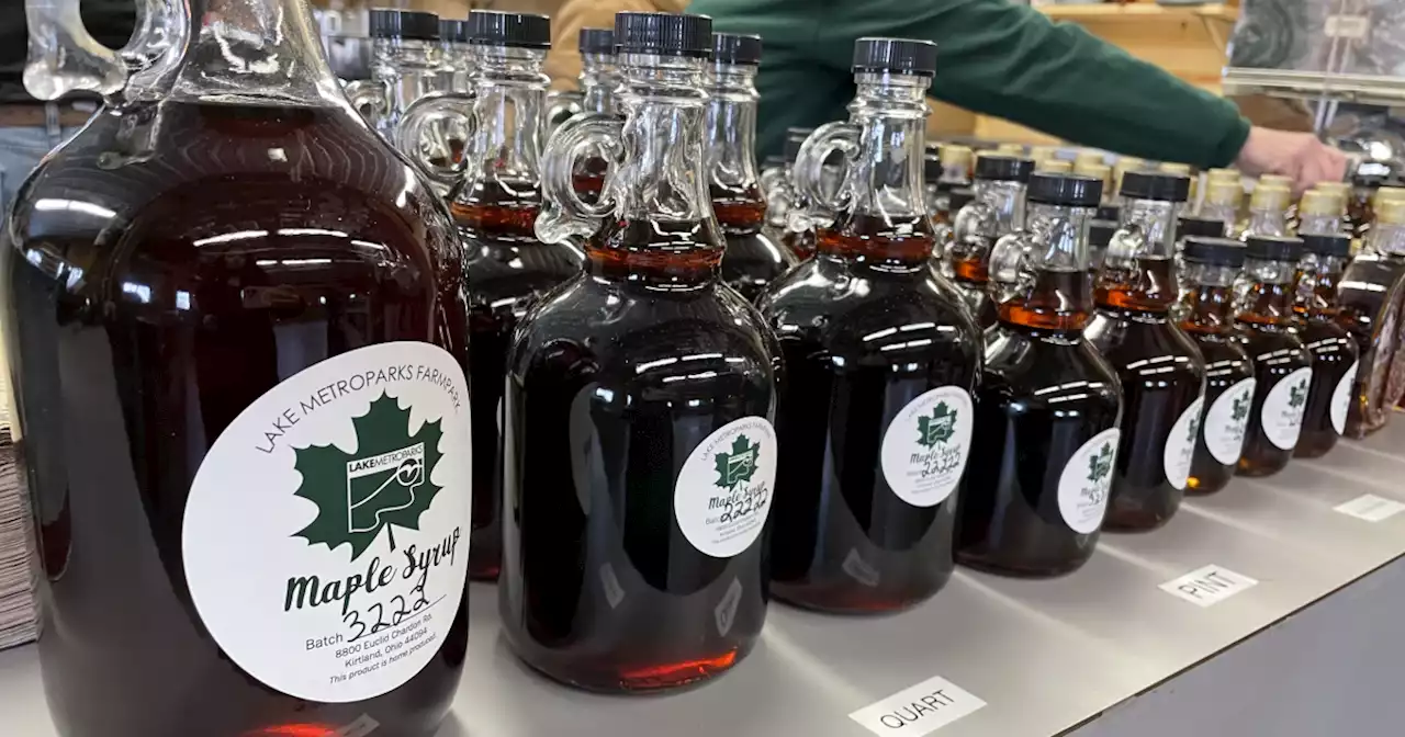 Lake Metroparks Farmpark kicks off its Maple Sugaring Weekends