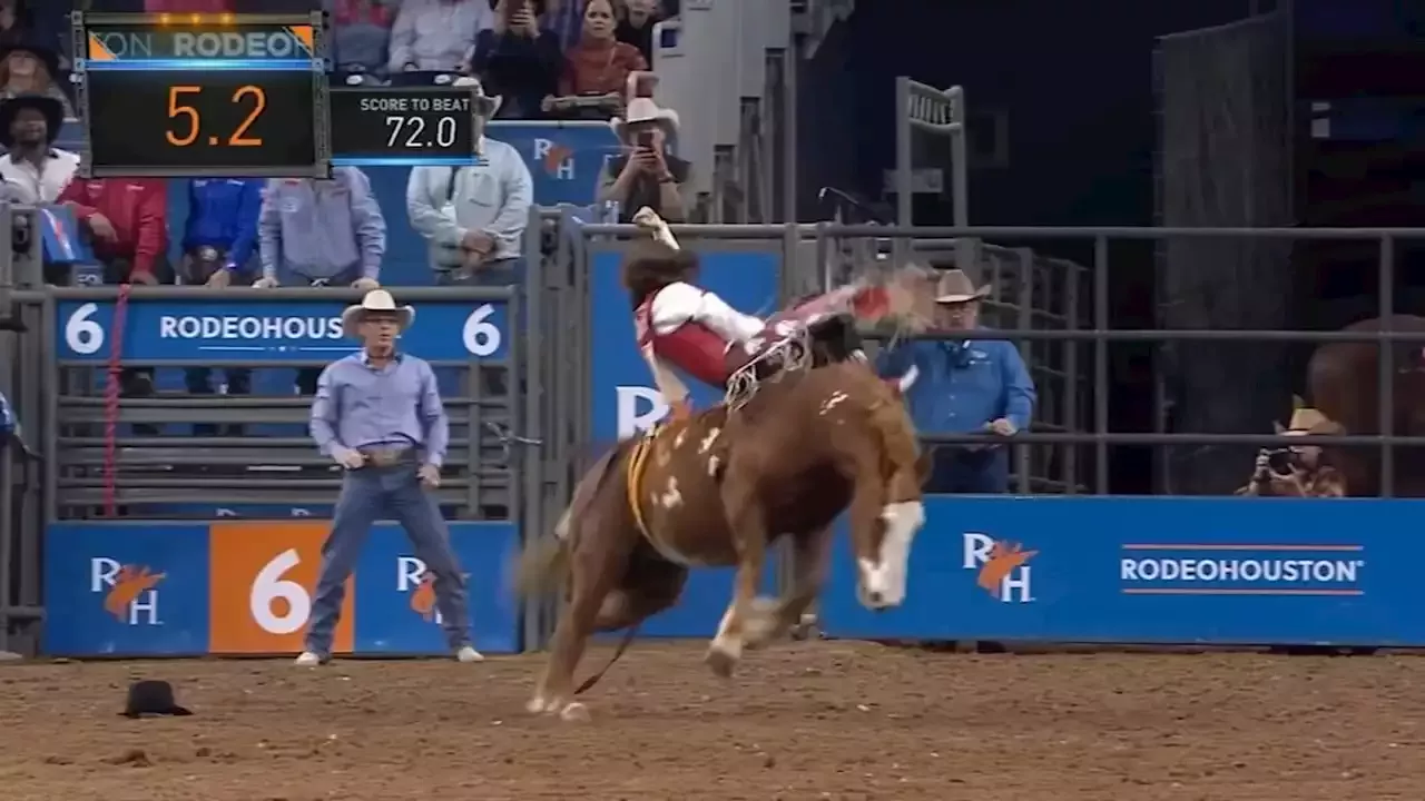 Four generations of Rodeo Meet Rocker Steiner