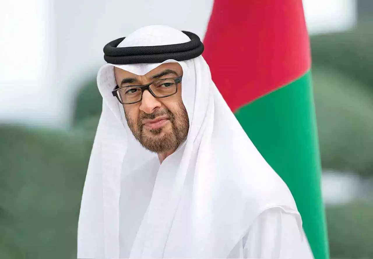 محمد بن زايد يبحث مع مستشار النمسا تعزيز العلاقات الثنائية