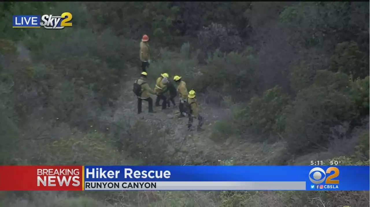 LAFD Rescuing Two Hikers, Dog Stuck Mid-Slope In Runyon Canyon