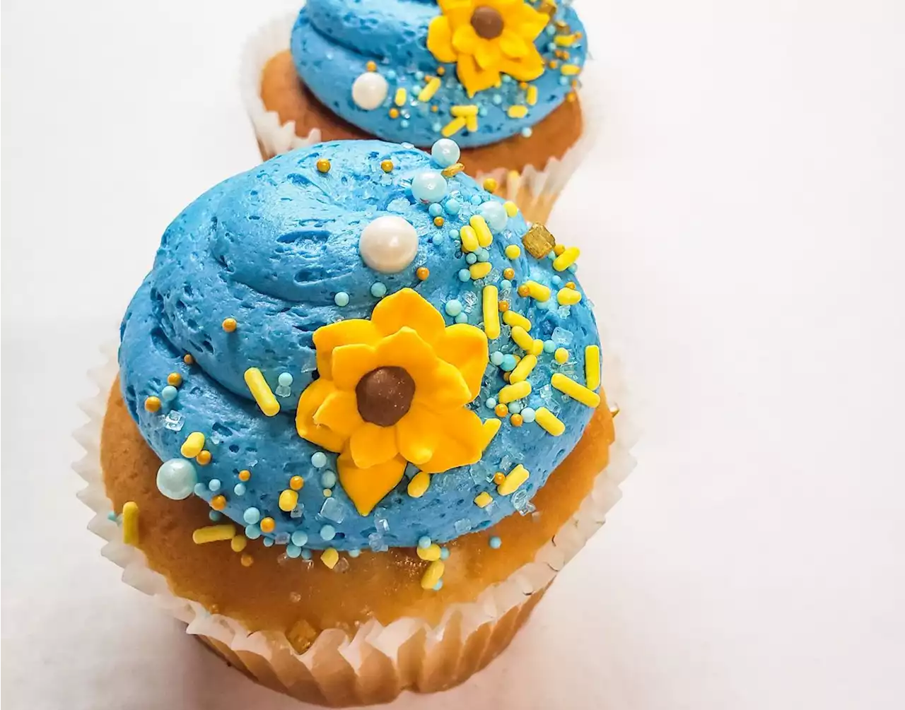 17 ways Chicago-area restaurants and bars are helping Ukraine, from blue pasta to sunflower cupcakes