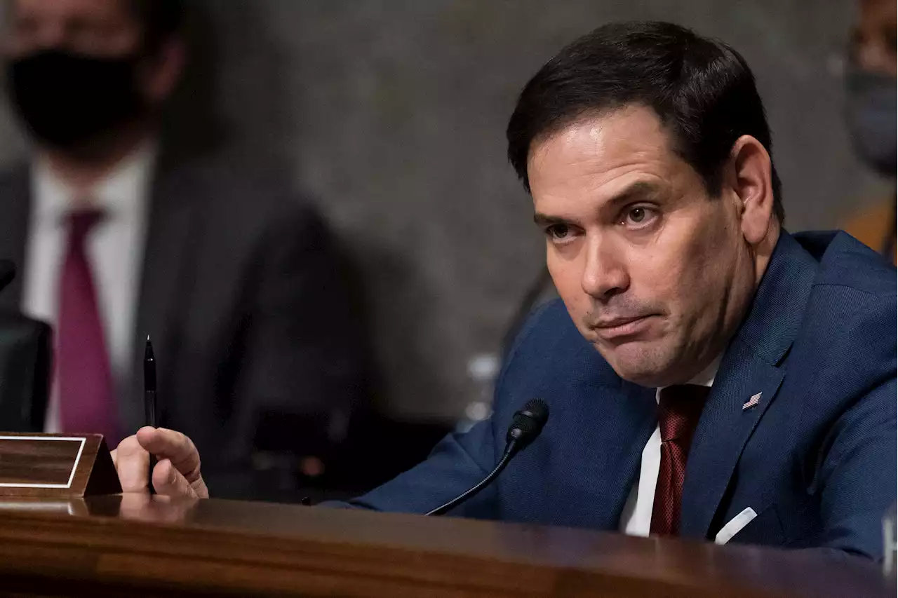 Marco Rubio, Steve Daines Ripped for Sharing Pics of Zelensky Meeting After Being Told Not To