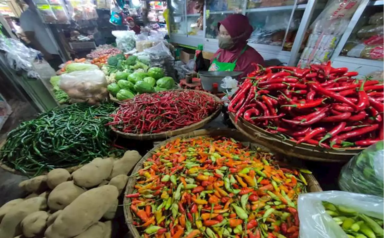 Naik 100 Persen, Harga Cabai di Wonogiri Capai Rp60.000/Kg