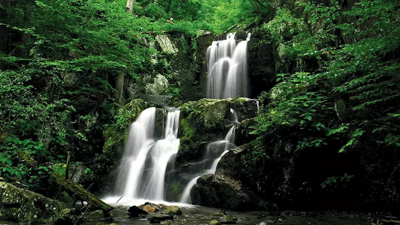 5 Great Hikes in Shenandoah National Park | Washingtonian (DC)