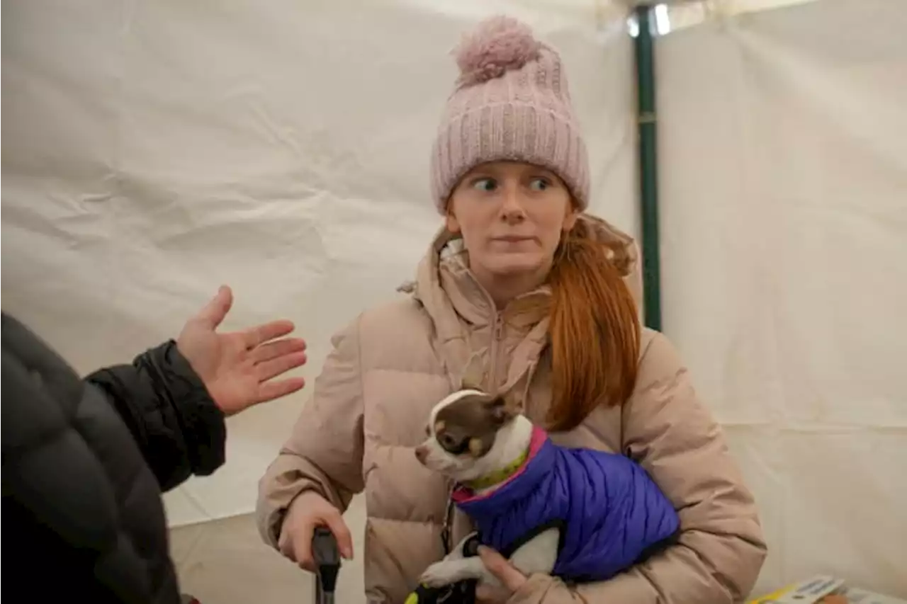 Refugees fleeing Ukraine grab documents, pets, some photos