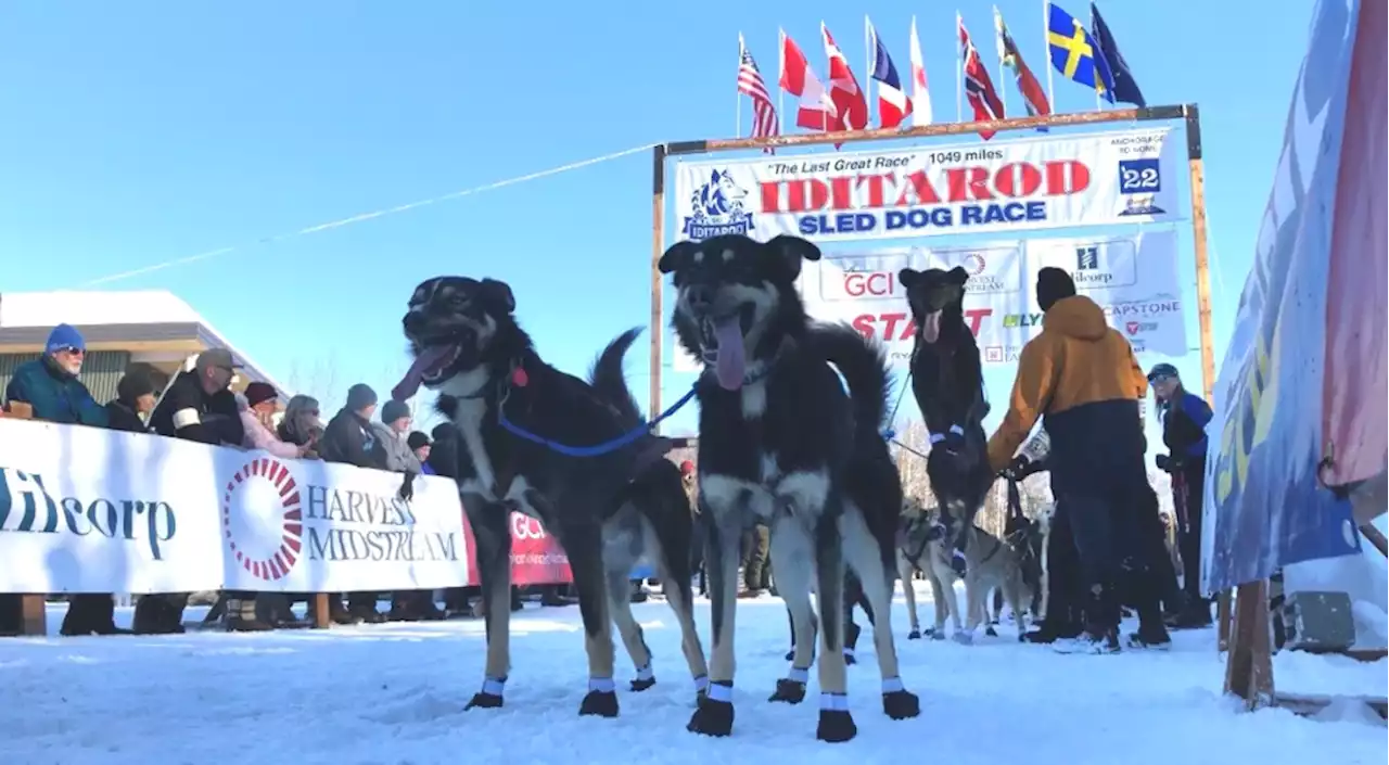 Iditarod live blog: Teams begin arriving at Yentna in 50th running of the Last Great Race