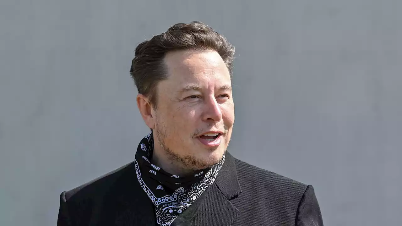 Elon Musk backs more oil production and expanded European nuclear power to combat Russia