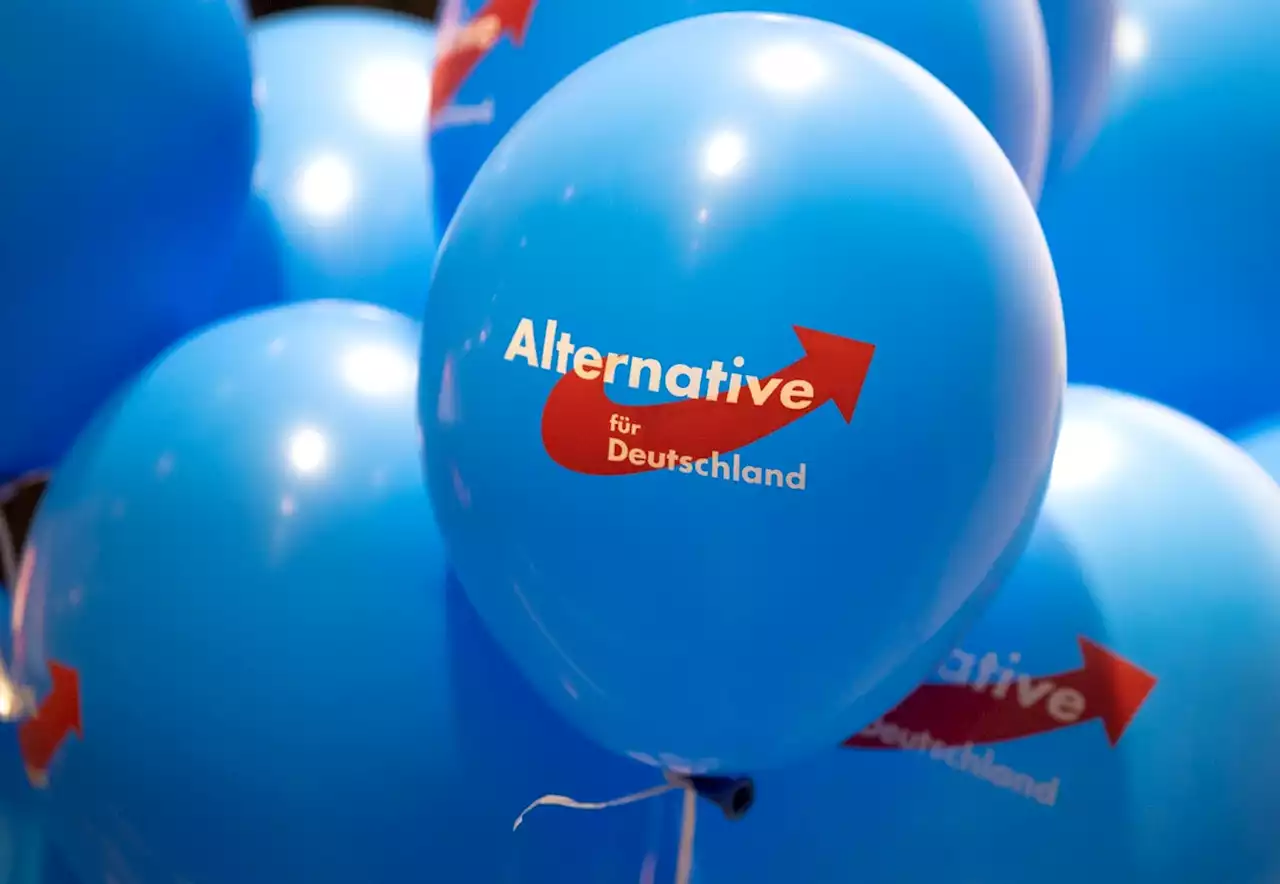 Künftig mehr Waldspaziergänge? AfD droht Geheimdienstbeobachtung