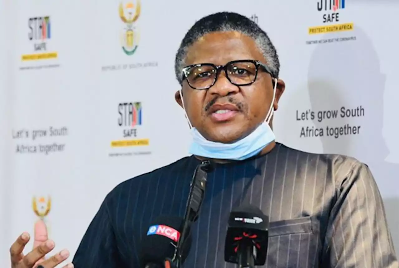 No more extensions – the driving licence deadline is here: Mbalula