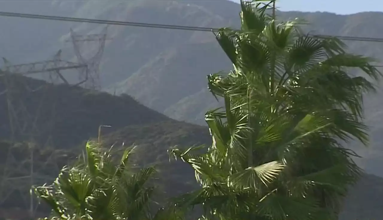 Wind Advisory In Effect Throughout LA County