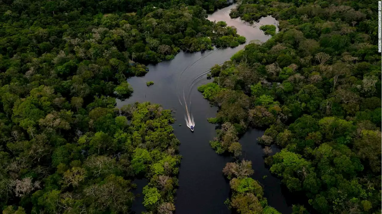 Amazon near tipping point of shifting from rainforest to savannah, scientists say