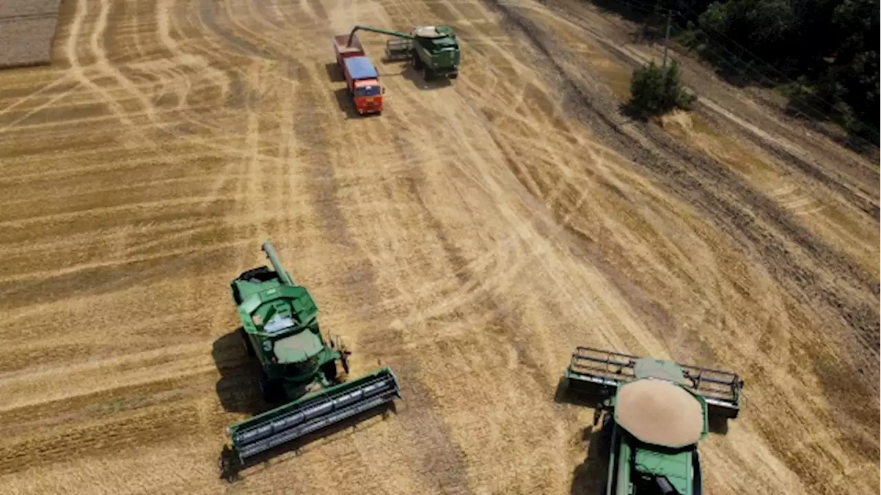 Canada planning for global food emergency, as Ukraine attack risks wheat supply