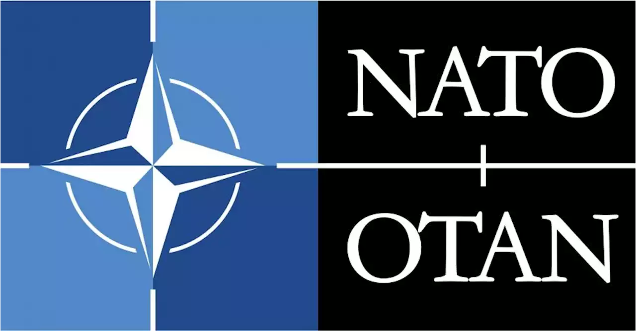 Det måste finnas alternativ till Nato-medlemskap - Dagens Arena