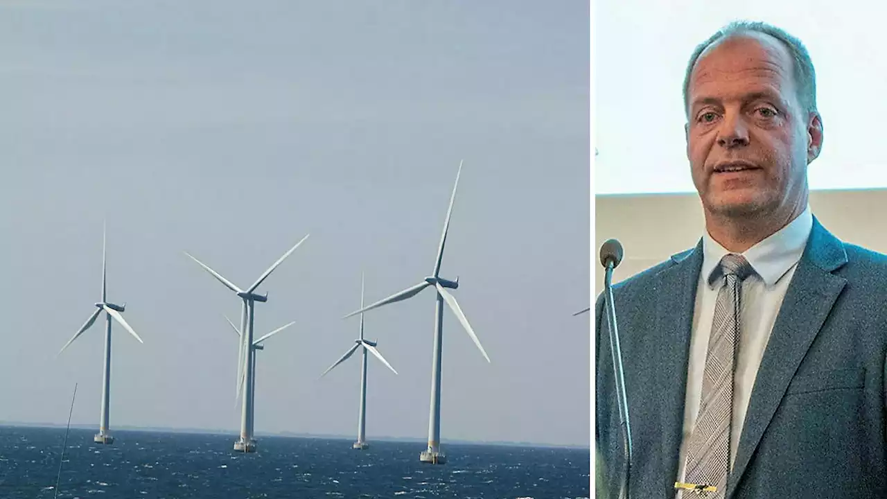 Vindkraften infekterar Söderhamn – politiker hatas och hånas