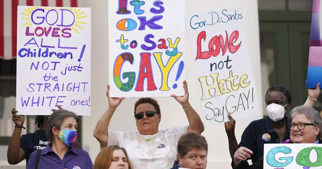 Florida Democrats chant 'gay, gay, gay' at rally against sex ed bill