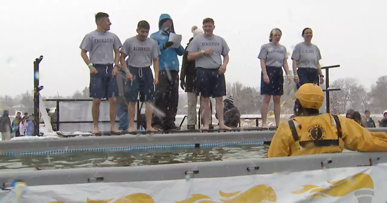 Dozens of people braved the cold to participate in the annual Polar Plunge for a good cause