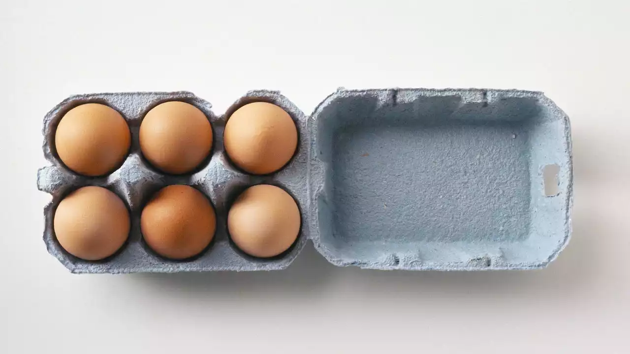 Everything You Ever Wanted to Know About Buying and Storing Eggs