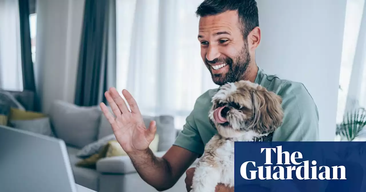 Reasons to be cheerful: optimists live longer, says study