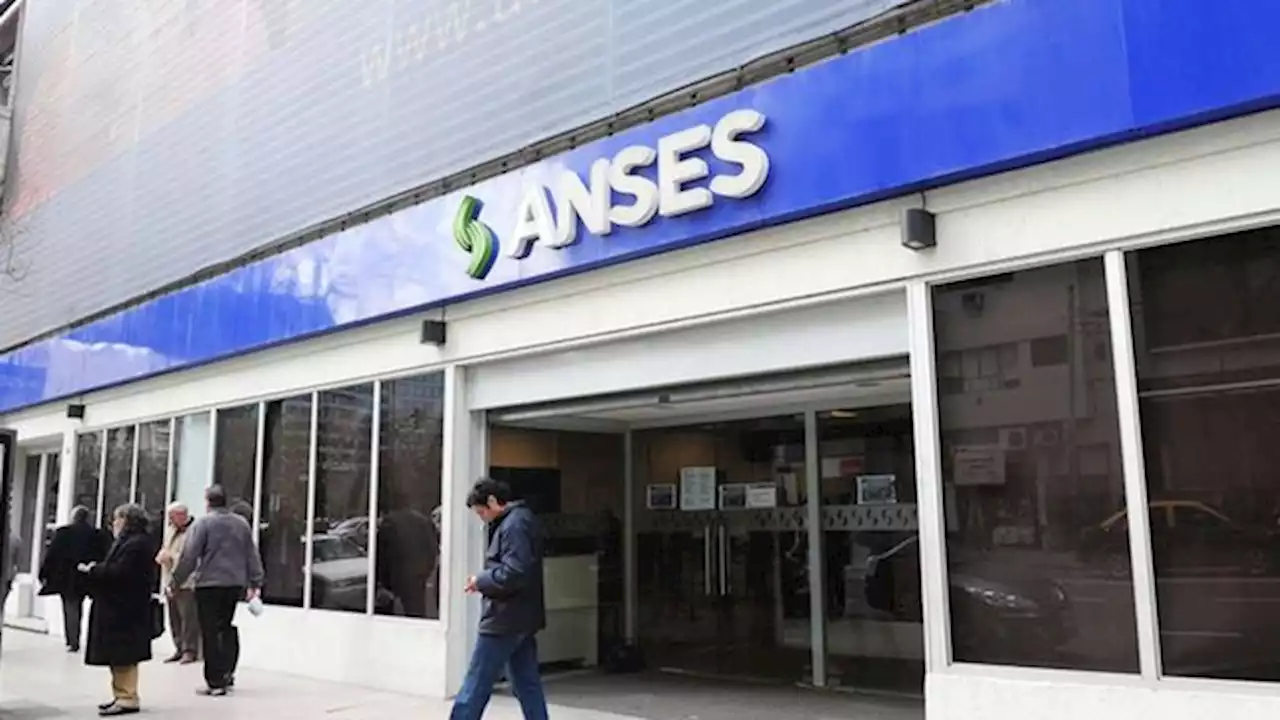 ANSES: cuándo cobro liquidación SUAF marzo 2022