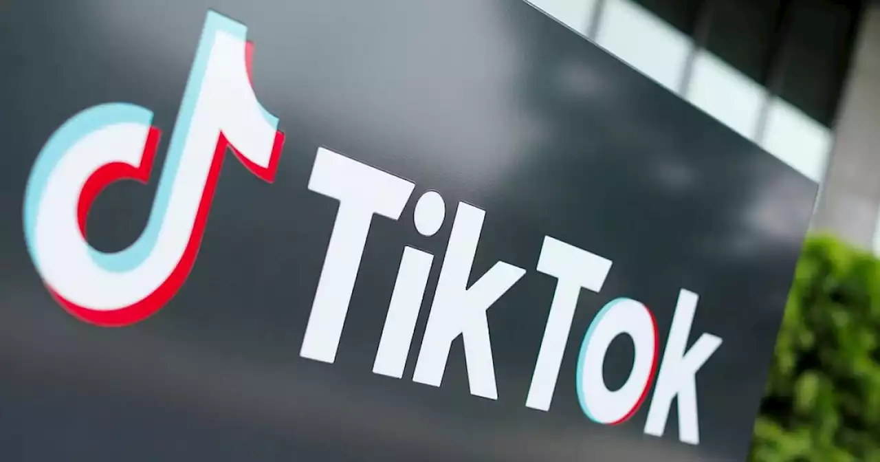 TikTok suspends posting of new videos from Russia | Malay Mail