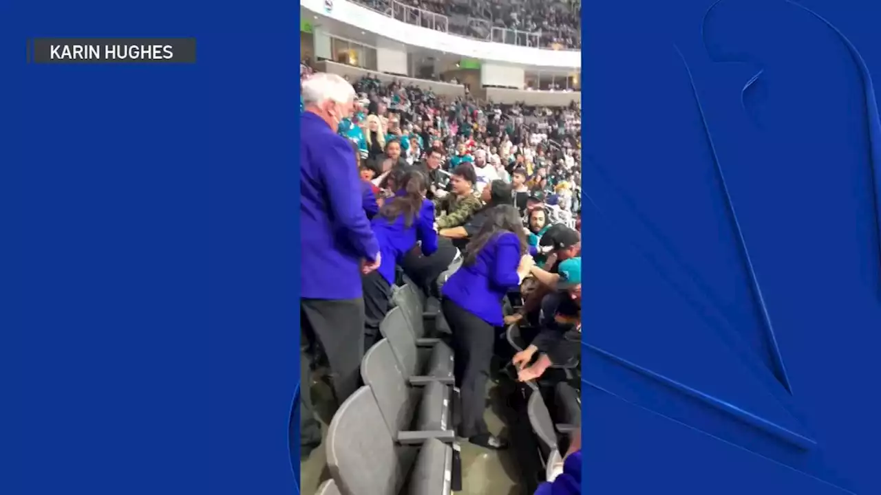 Watch: Brawl Breaks Out at San Jose Sharks Game