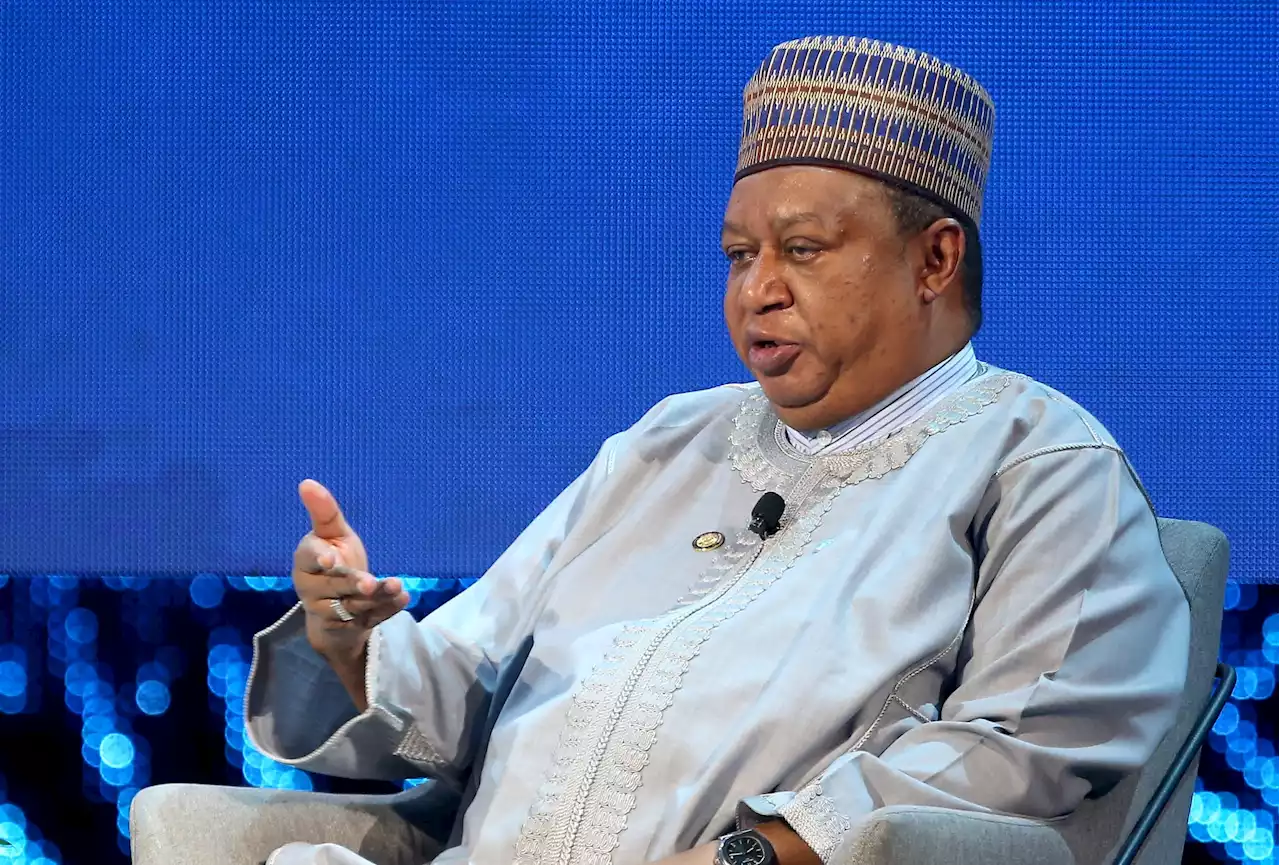 World Is Facing a ‘Game Changer' as Russia's War Roils Energy Markets, Says OPEC's Barkindo