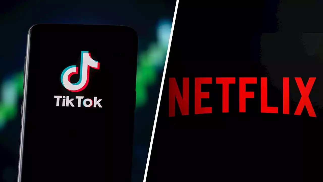 Netflix, TikTok Blocks Services in Russia Over ‘Fake News' Law