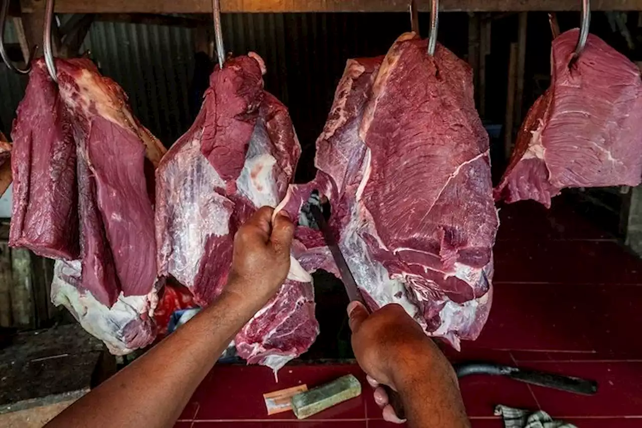 Harga Daging Sapi Melonjak Naik, Pakar IPB Beberkan Dua Penyebabnya - Pikiran-Rakyat.com