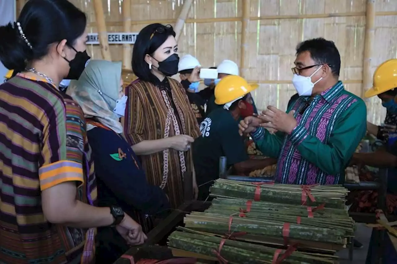 LPDB-KUMKM Dukung Pengembangan Ekosistem Bisnis Komoditas Bambu NTT Melalui Koperasi - Pikiran-Rakyat.com